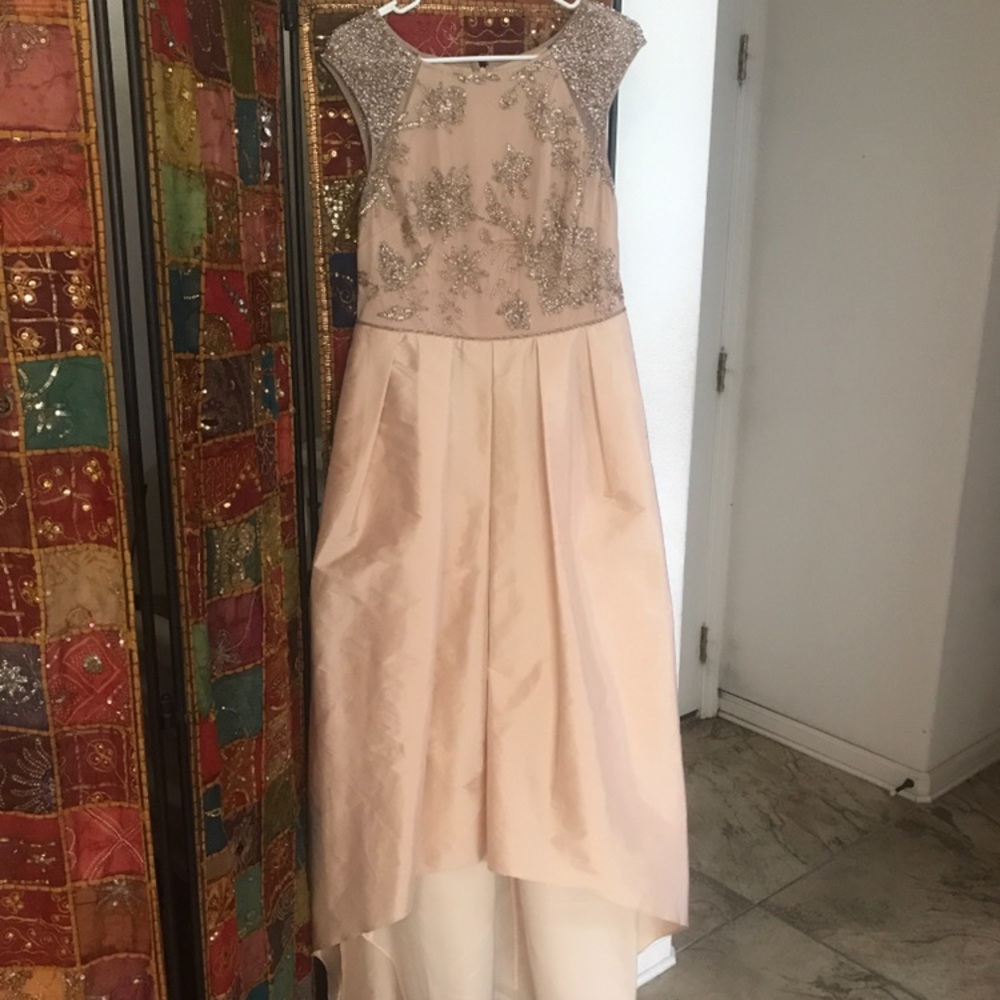 Adrianna Papell size 10 high low formal gown